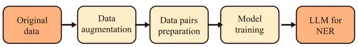 Fig. 2. The implementation process of LLM for NER.