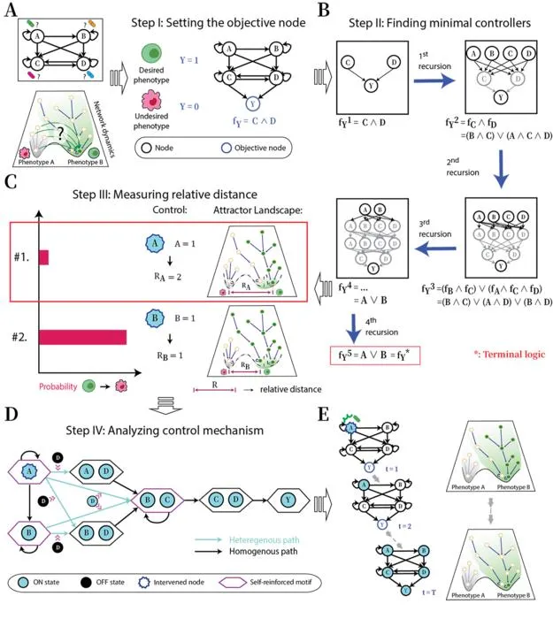 KAIST Finds a Way to Redirect Cell Fate with Just a Single Stimulus