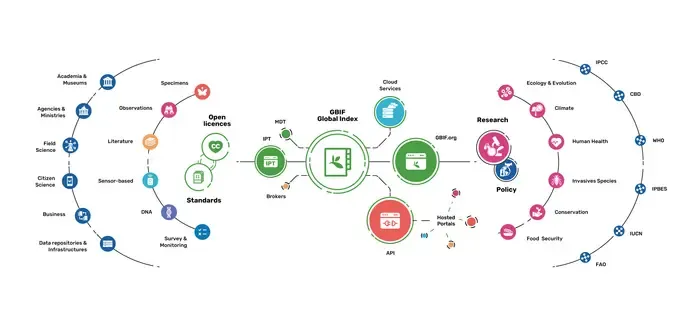 The universe of GBIF data mediation.
