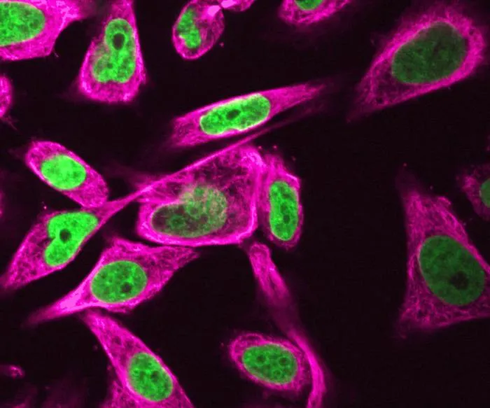 Cells' exposure to flows