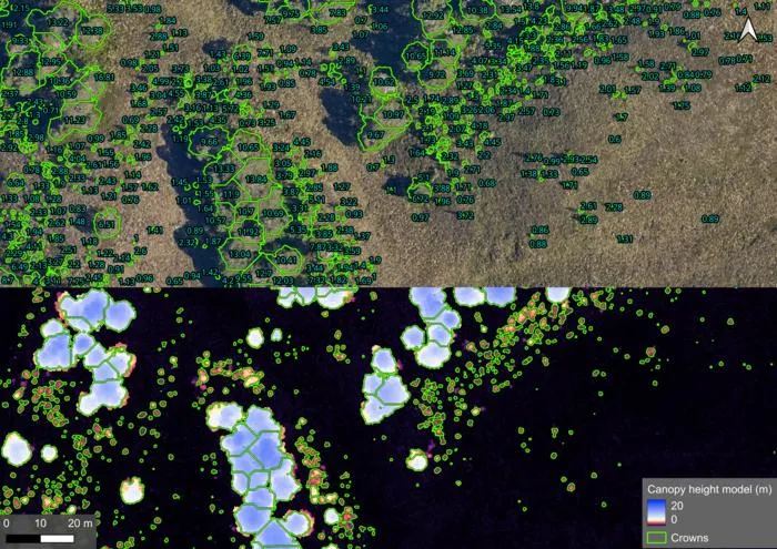 Individual trees on aerial imagery and canopy height model