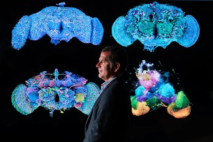 UVM neuroscientist Davi Bock