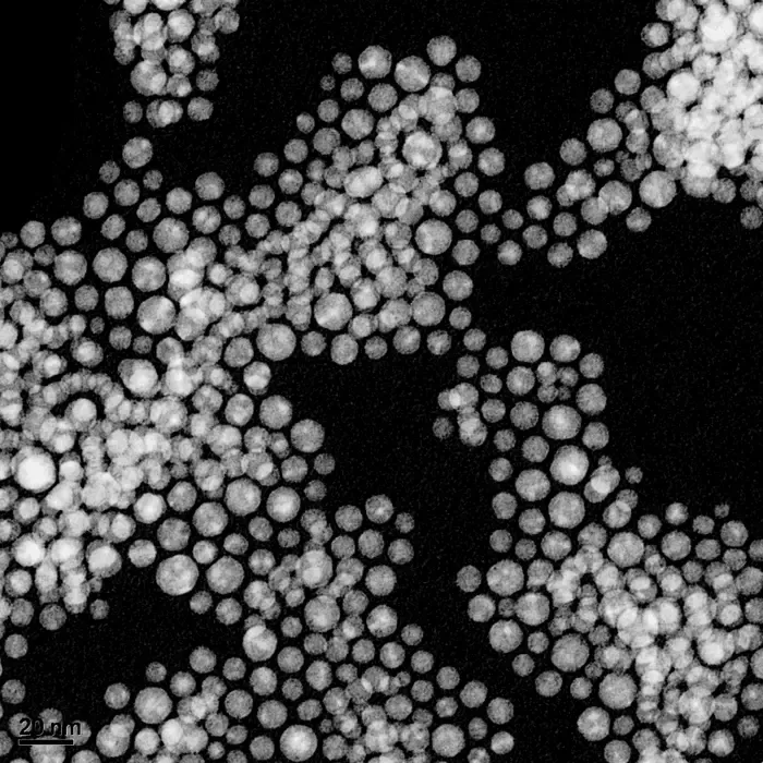 Nanosilver TEM