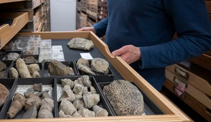 Natural history collections