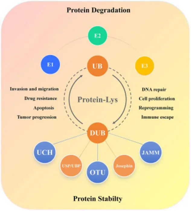 FIG 2