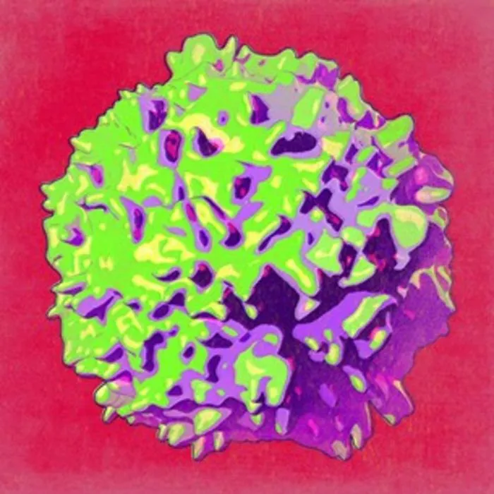 Role of group 2 innate lymphoid cells (ILC2s) in neural–immune crosstalk