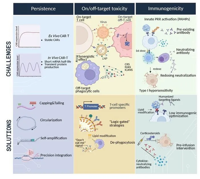 Challenges and solutions for in vivo CAR-T cell therapy