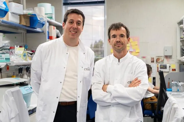 Pedro García-Gómez and Manuel Valiente in their laboratory at the Spanish National Cancer Research Centre (CNIO)