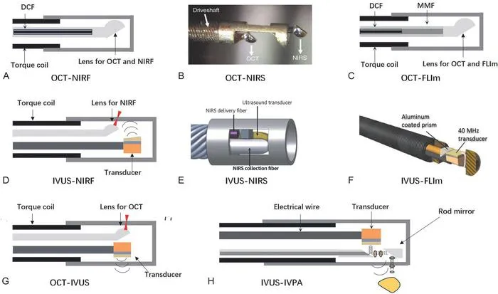 Figure 3Open multimedia modalTypical designs of imaging probes for various hybrid imaging modalities