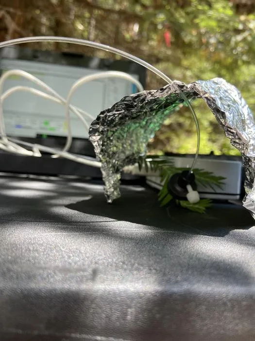 redwood branch aluminum foil treatment