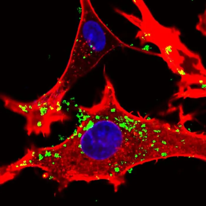 IIT’s new nanoparticles for nanomedicine