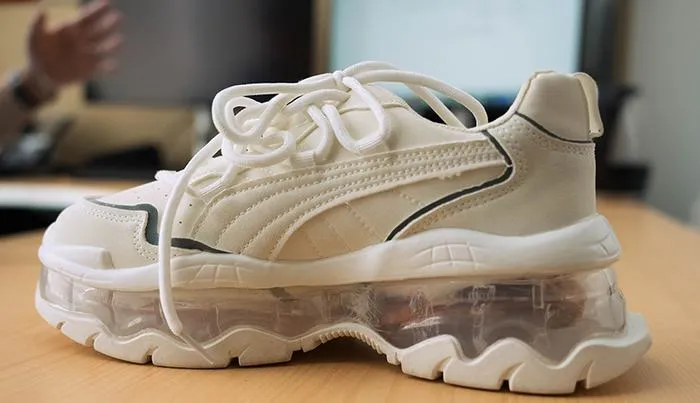 Smart Shoe