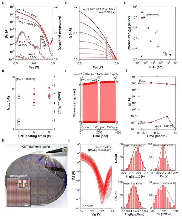 KAIST Develops AI Chip That Recognizes Changes in Motion over Time