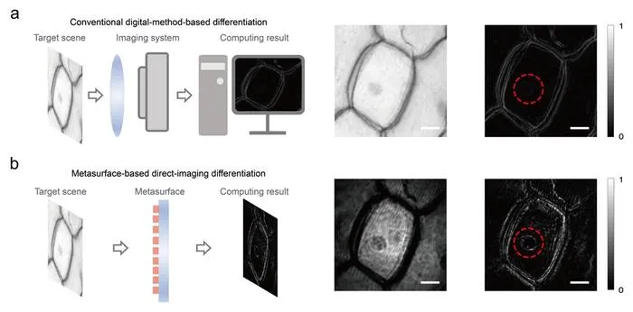 Figure 3 | Comparison with conventional digital image processing architecture.
