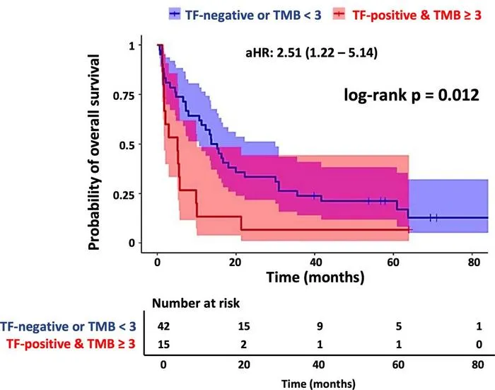 Prognostic impact of bile-derived TF together with mutational burden.