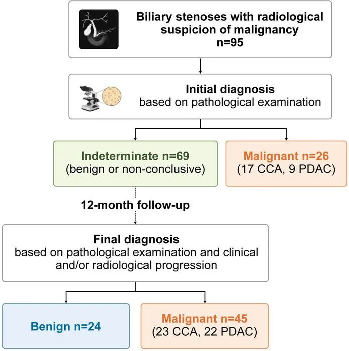 Patient cohort.