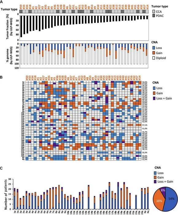 CNAs in patients with bile positive TF.