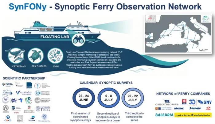 Tracking the fin whale and the sperm whale in the Mediterranean