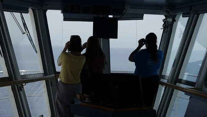 Tracking the fin whale and the sperm whale in the Mediterranean