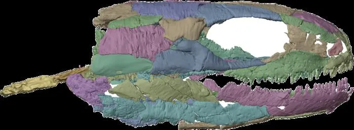 X-ray reconstruction of Westlothiana