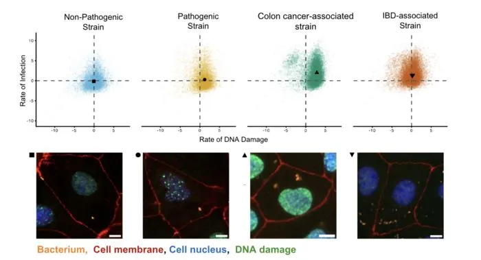 MALVINA Reveals Distinct Virulence Profiles at Single-Cell Resolution