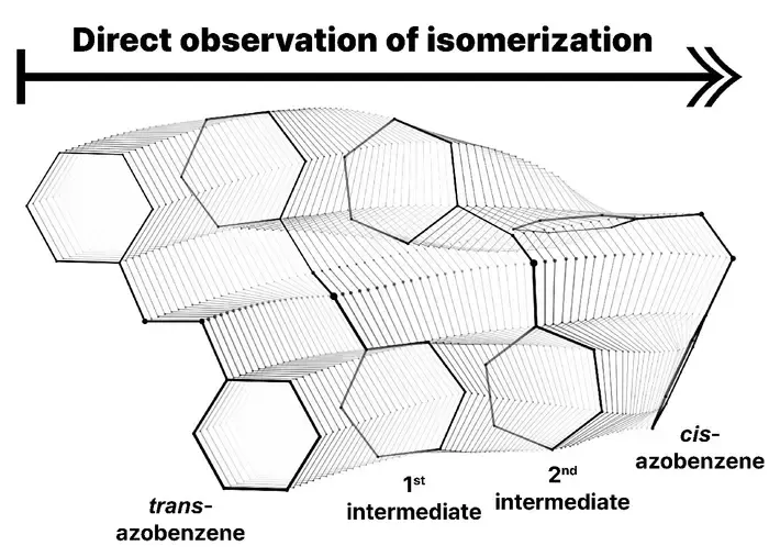 KAIST Reveals How the Light-Responsive Molecular Switch Azobenzene Changes Shape