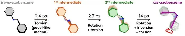 KAIST Reveals How the Light-Responsive Molecular Switch Azobenzene Changes Shape