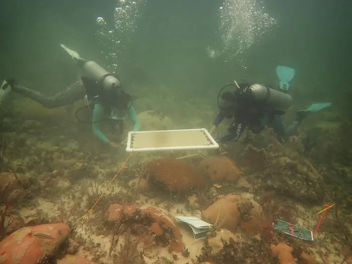 Kathryn Toth and Arelys Chaparro at work on a coral shade
