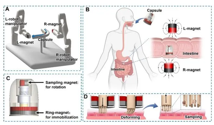 Illustration of capsule magnet system.
