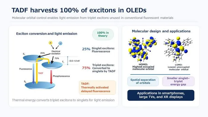 How TADF enables highly efficient OLEDs
