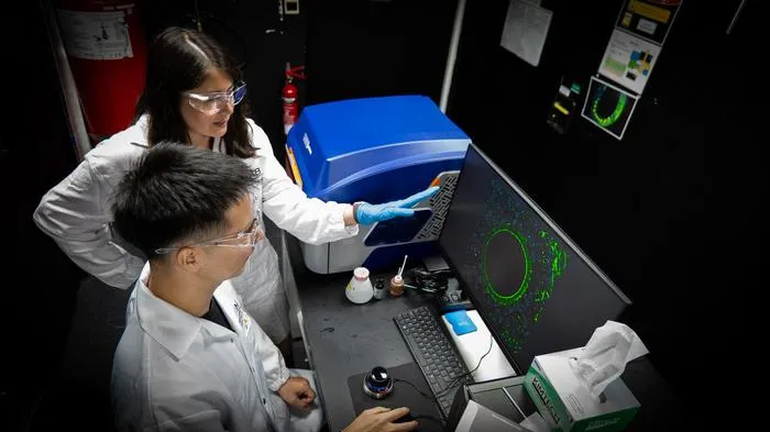 NUS researchers reveal how stiffer ovarian tissue can impair egg development