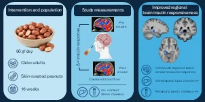 Graphical Abstract
