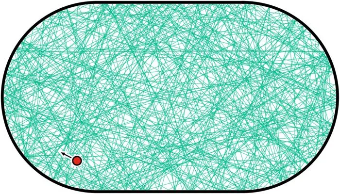 Quantum birthmark (2)