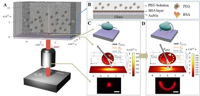 Figure | Working mechanism of programmable cell rotation.