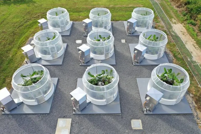 TropOz experimental facility