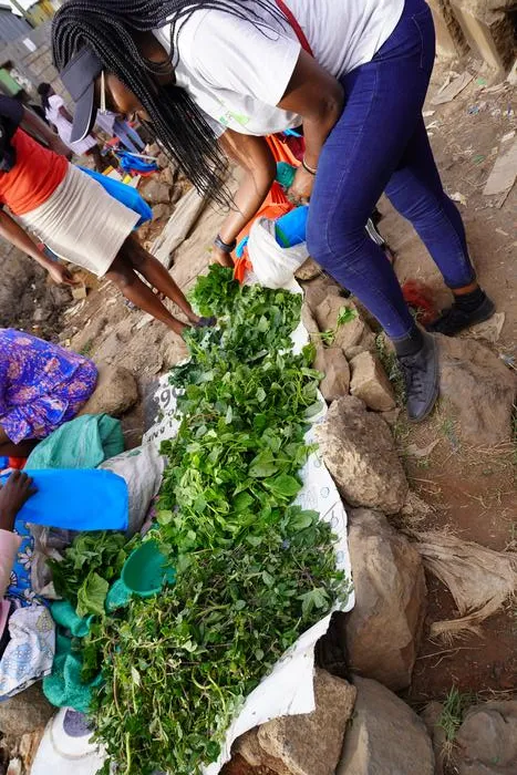 The invisible backbone of the world's food system (Kenya)