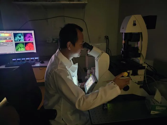 Ke Gao in the lab