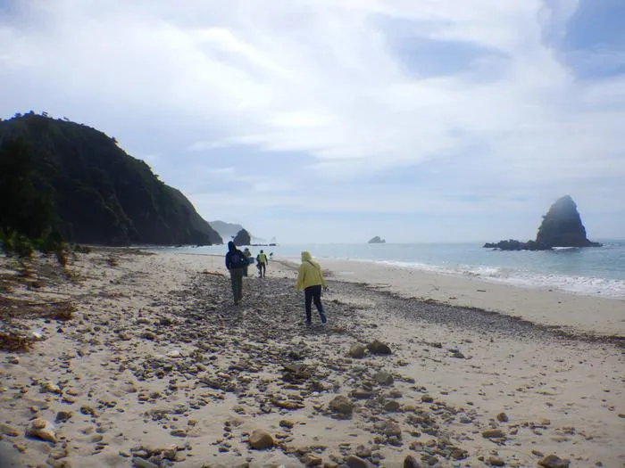 Fieldwork in Nago