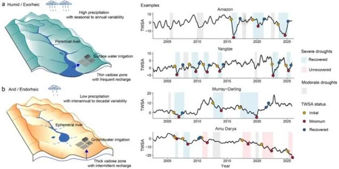 Contrasting trajectories of water storage recovery after severe drought