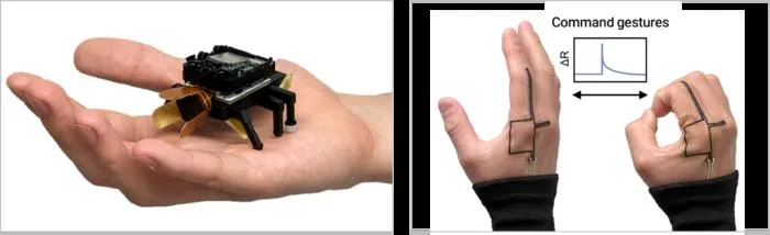 KAIST Develops a Beetle-Inspired Soft Robot That Operates with Artificial Muscles and Sensory Feedback