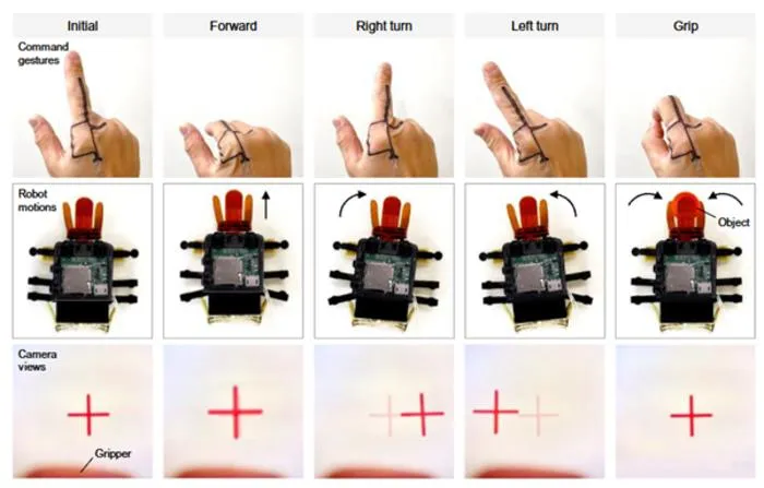 KAIST Develops a Beetle-Inspired Soft Robot That Operates with Artificial Muscles and Sensory Feedback