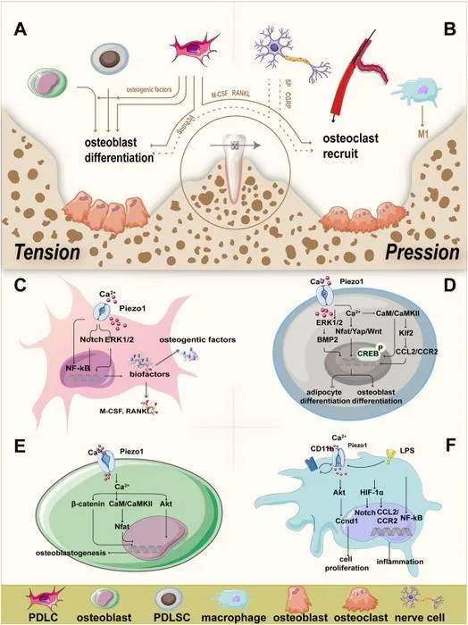 FIG 2