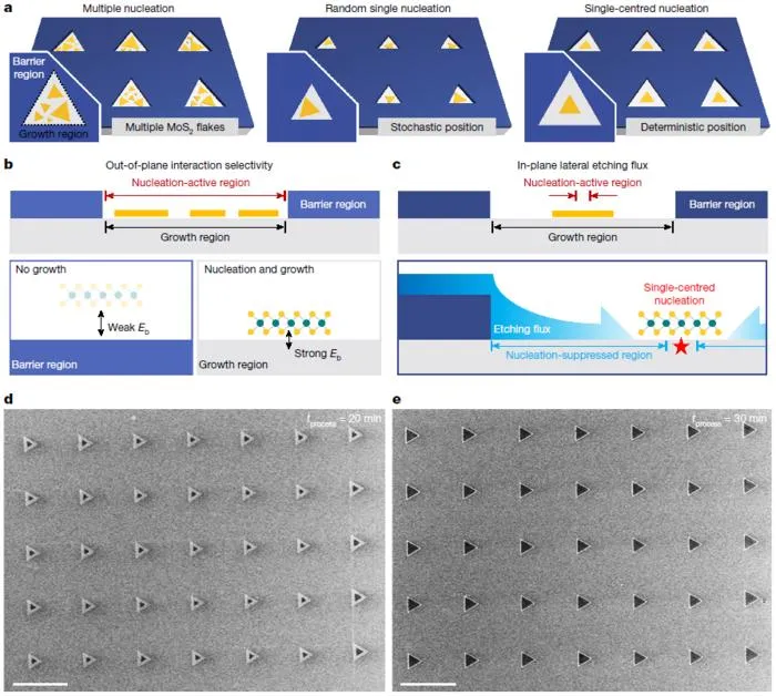 KAIST Controls Where 2D Semiconductor Crystals Begin to Grow, Addressing a Key Challenge in Stacking AI Chips
