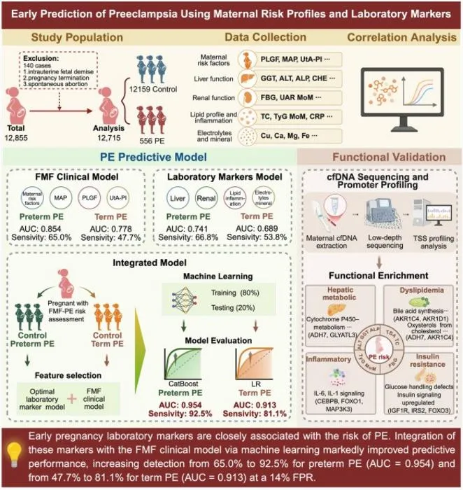 Flowchart of the study.