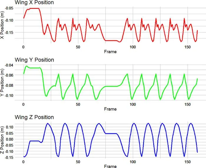 Wing-tip displacement over the course of the animation sequence, tracked from the tip of the terminal phalanx