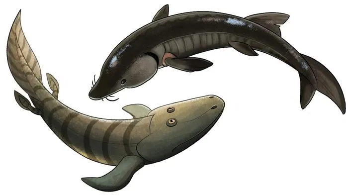 Tetrapod and sturgeon
