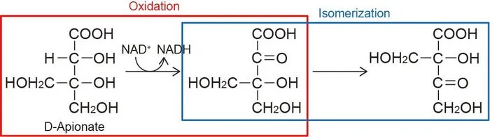 Figure.1