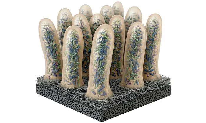 Villi 2