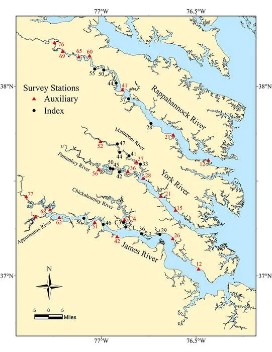 Survey Sites