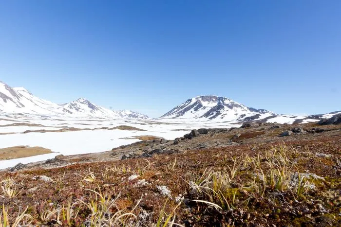 Greenland
